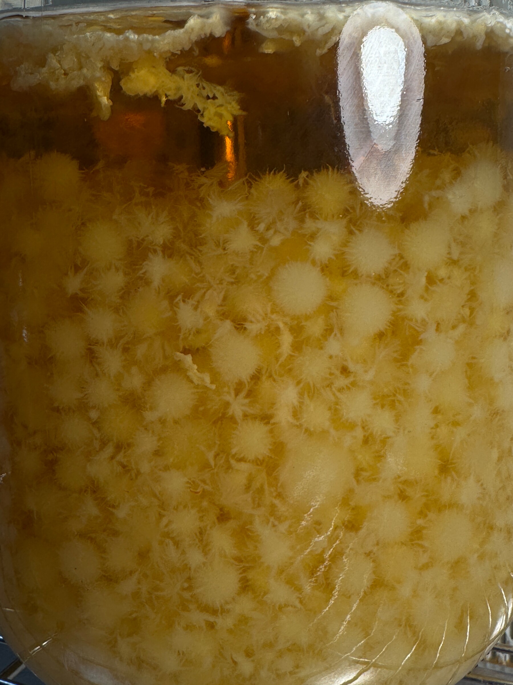 Лабораторія